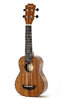 Concert ukulele - VTAB FL-S15