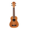 Soprano ukulele - Bumblebee BUS23 + Pure Tone Gig Bag